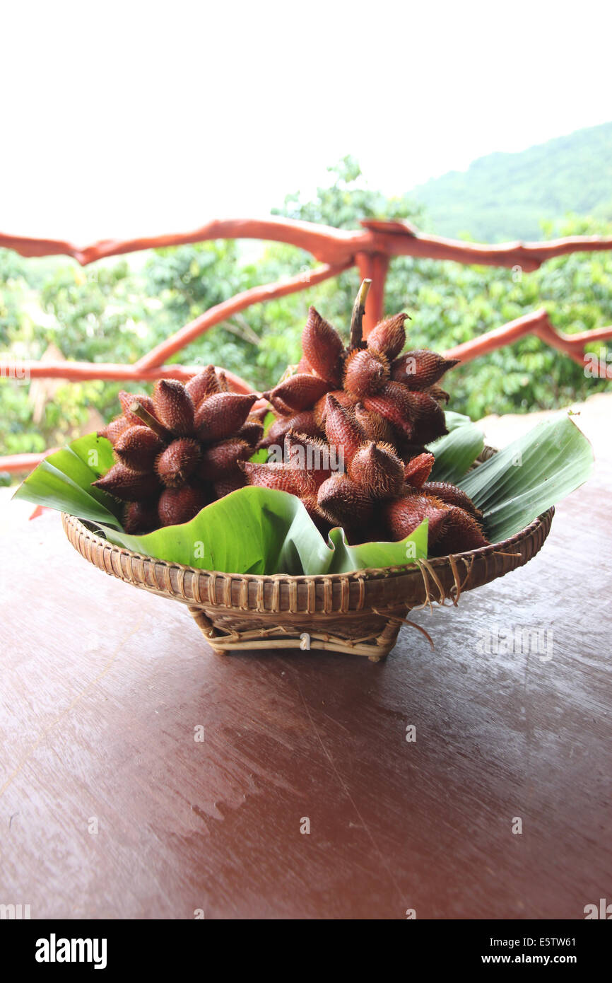 Salak fruits frais serpent dans le panier sur la table des aliments. Banque D'Images