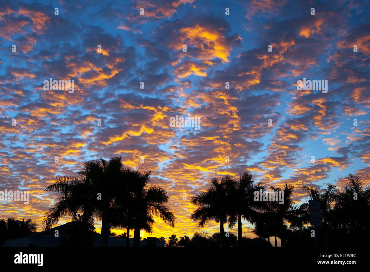 Abstract nuages au lever du soleil - Fort Myers, Florida USA Banque D'Images