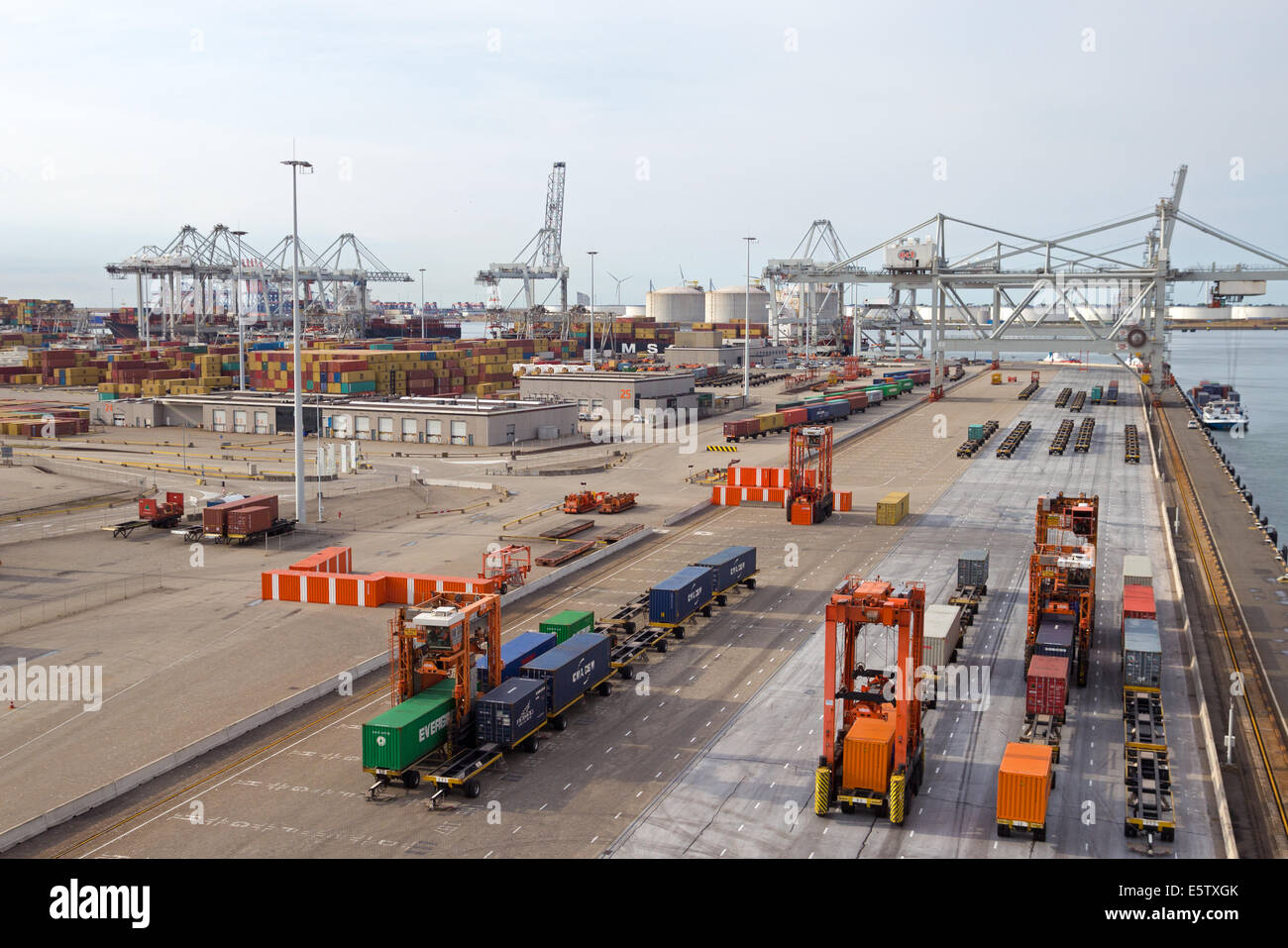 Terminal Conteneurs et de grues à Rotterdam, Pays-Bas. Banque D'Images