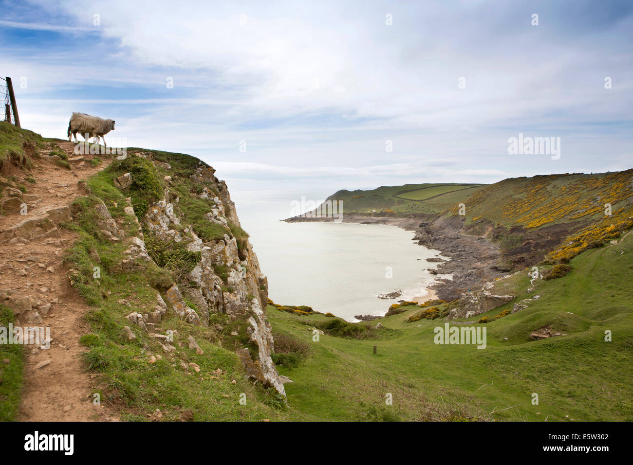 Royaume-uni, Pays de Galles, Swansea, Gower, Rhossili, Swansea Bay à la côte de la Baie d'automne Banque D'Images