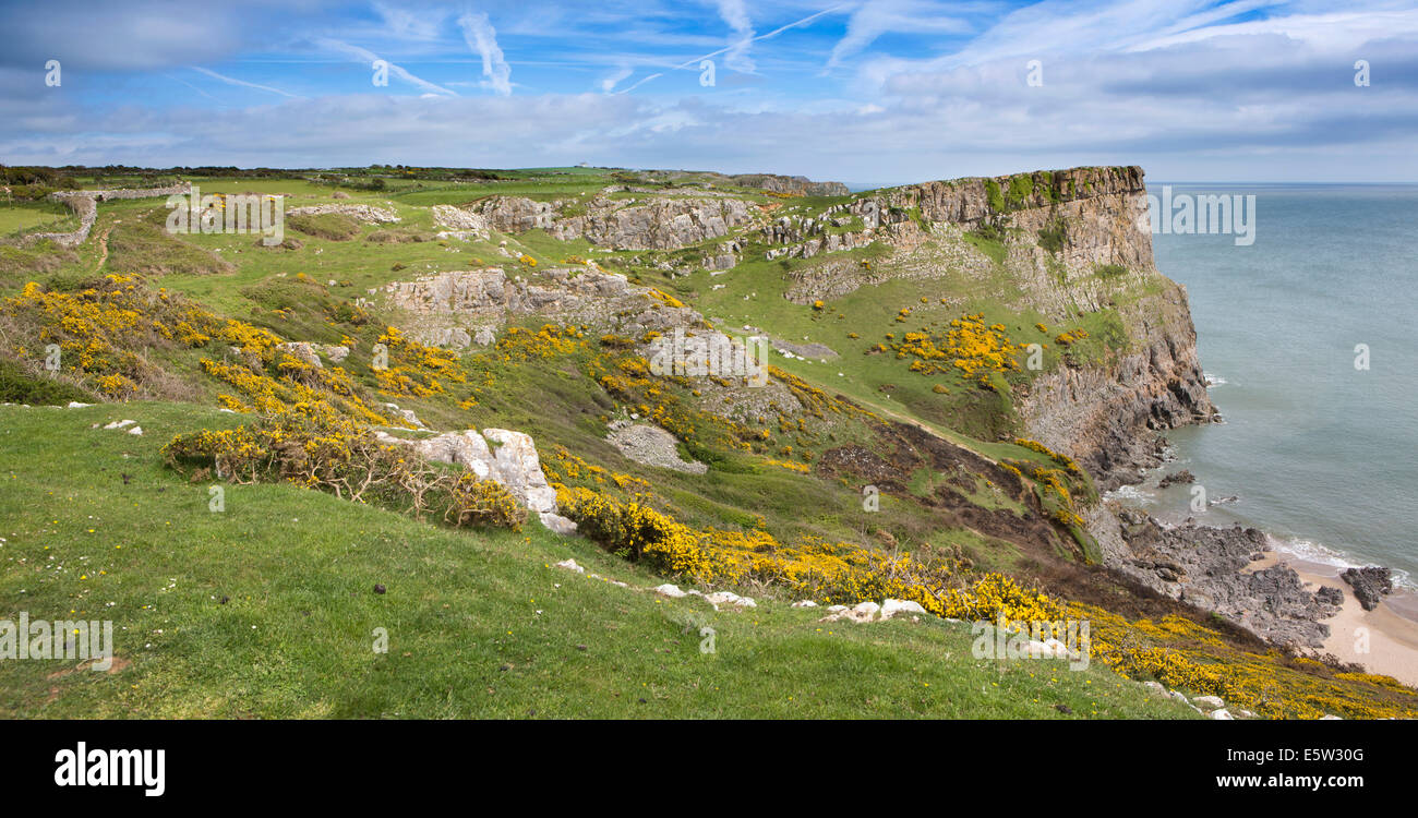 Royaume-uni, Pays de Galles, Swansea, Gower, Rhossili, Swansea Bay à la côte de la Baie d'automne, vue panoramique Banque D'Images