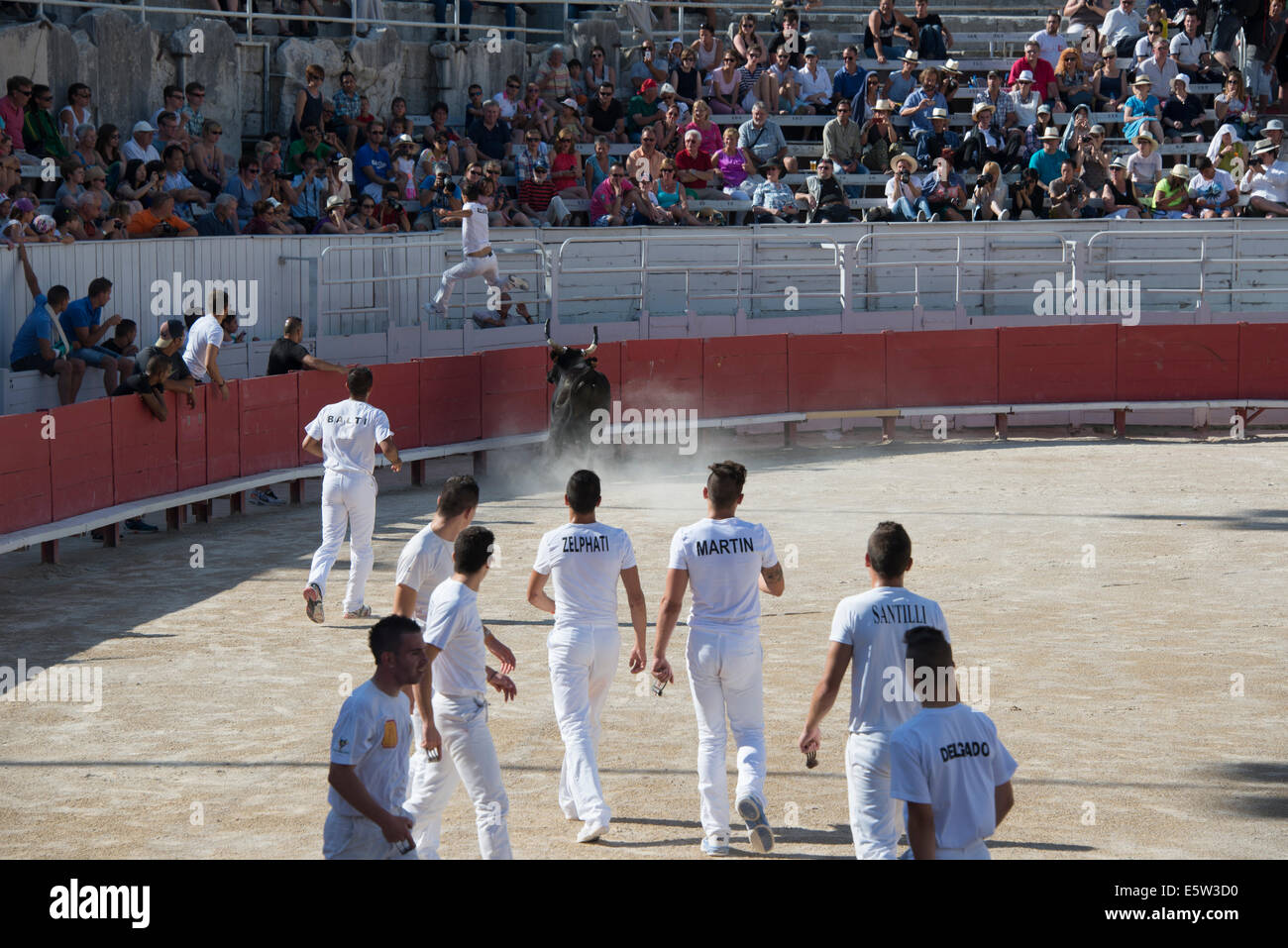 Bull Race, Arles, France Banque D'Images