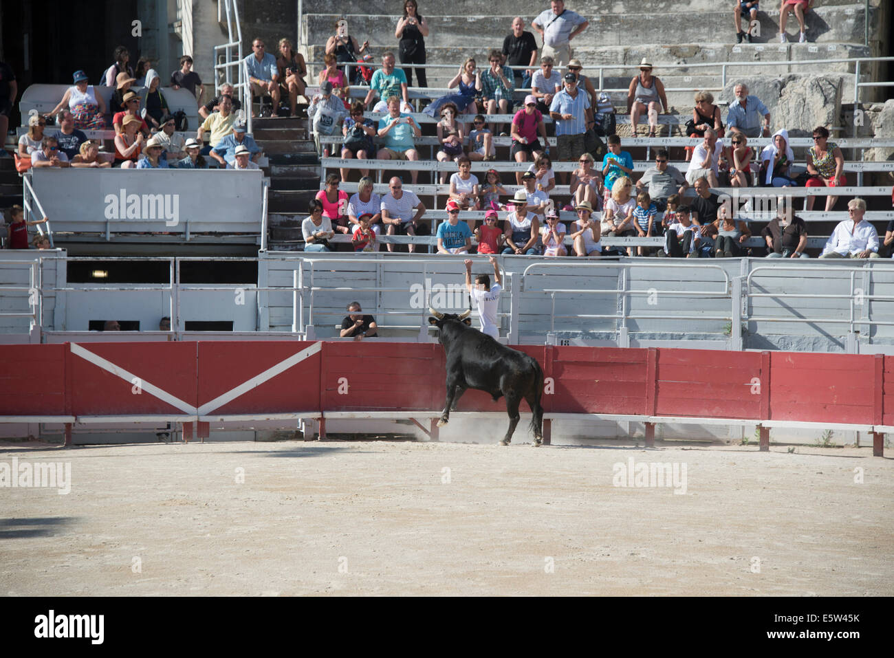 Bull Race, Arles, France Banque D'Images