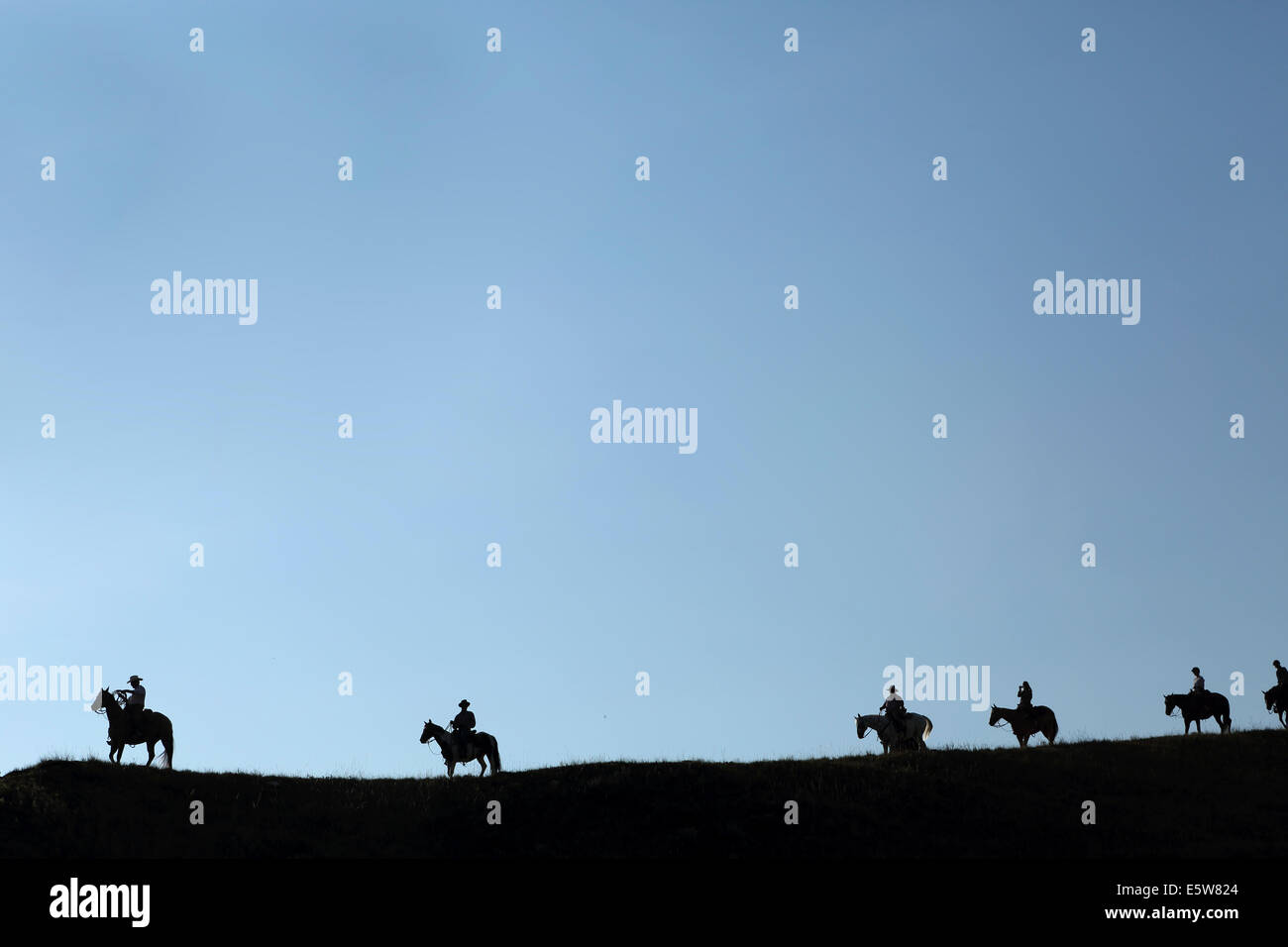 Riders sous le soleil à la Reata ranch près de Kyle, Saskatchewan, Canada. Le ranch offre des possibilités pour les gens de sta Banque D'Images