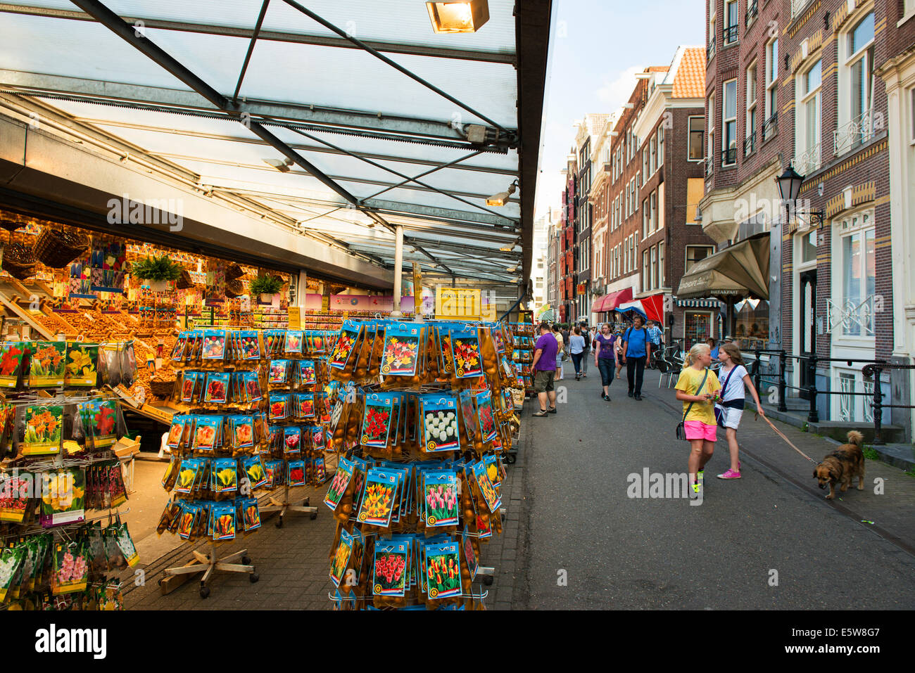 Marché aux Fleurs, Amsterdam, Hollande, Pays-Bas Banque D'Images