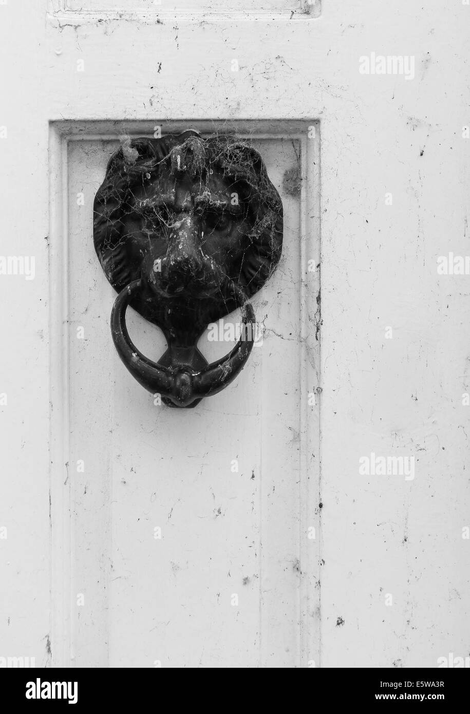 Style ancien Lion's Head knocker sur porte blanche avec net araignées Banque D'Images