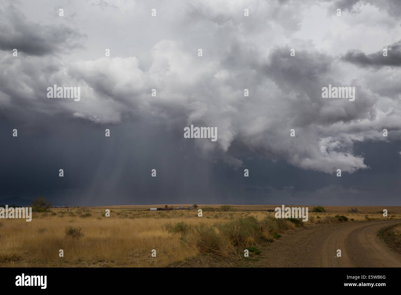 Un violent orage rural organise plus de nord-est du Nouveau Mexique avec les arbres de forte pluie avertissements d'inondation flash invite visible Banque D'Images