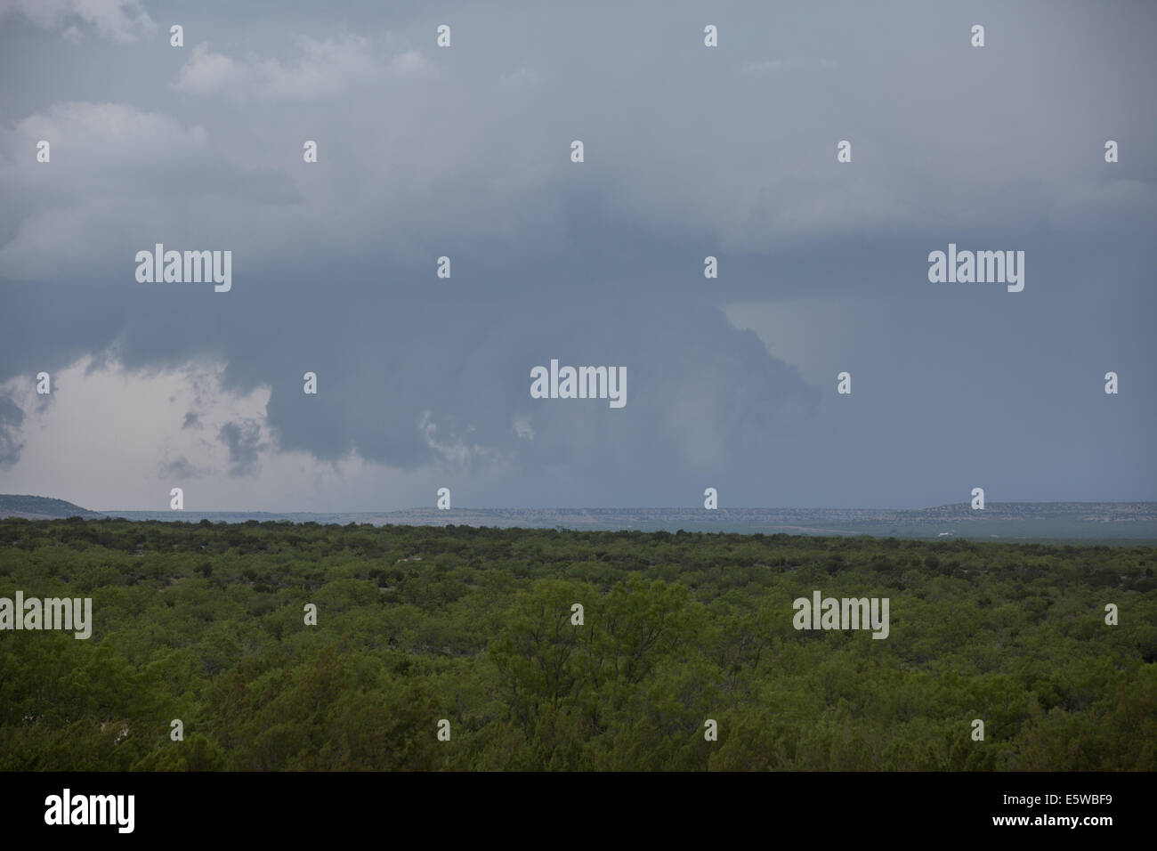 Une puissante tornade orage supercellulaires averti avec un grand mur de nuages domine le ciel du Texas, tout en produisant des phénomènes météorologiques violents Banque D'Images Une puissante tornade orage supercellulaires averti avec un grand mur de nuages domine le ciel du Texas, tout en produisant des phénomènes météorologiques violents Banque D'Images