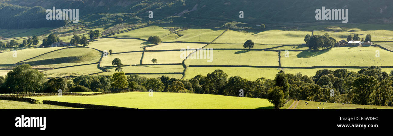 Paysage panoramique de champs verts dans Bransdale, au nord, l'État du North Yorkshire Moors, l'Angleterre. Banque D'Images