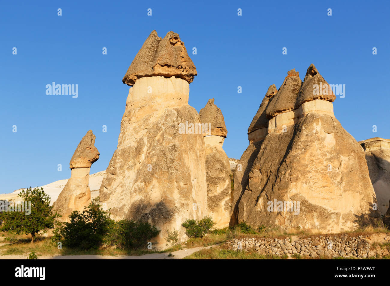 Cheminées de fées, des formations de tuf, la Vallée des moines, Pasabagi, parc national de Göreme, en Cappadoce, Anatolie centrale Banque D'Images
