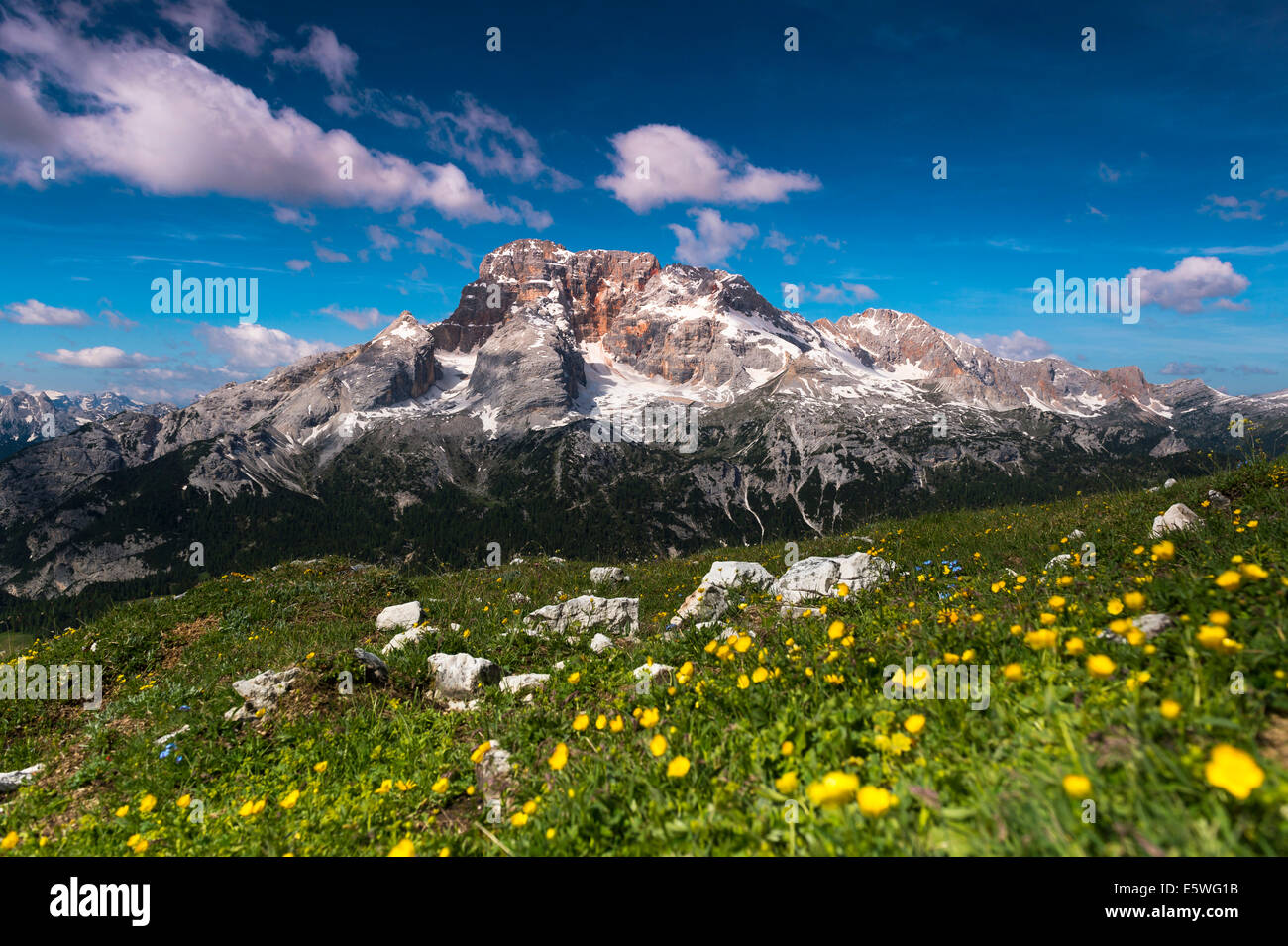 La montagne Dolomites de Sexten, meadow, Tyrol du Sud, Italie Banque D'Images