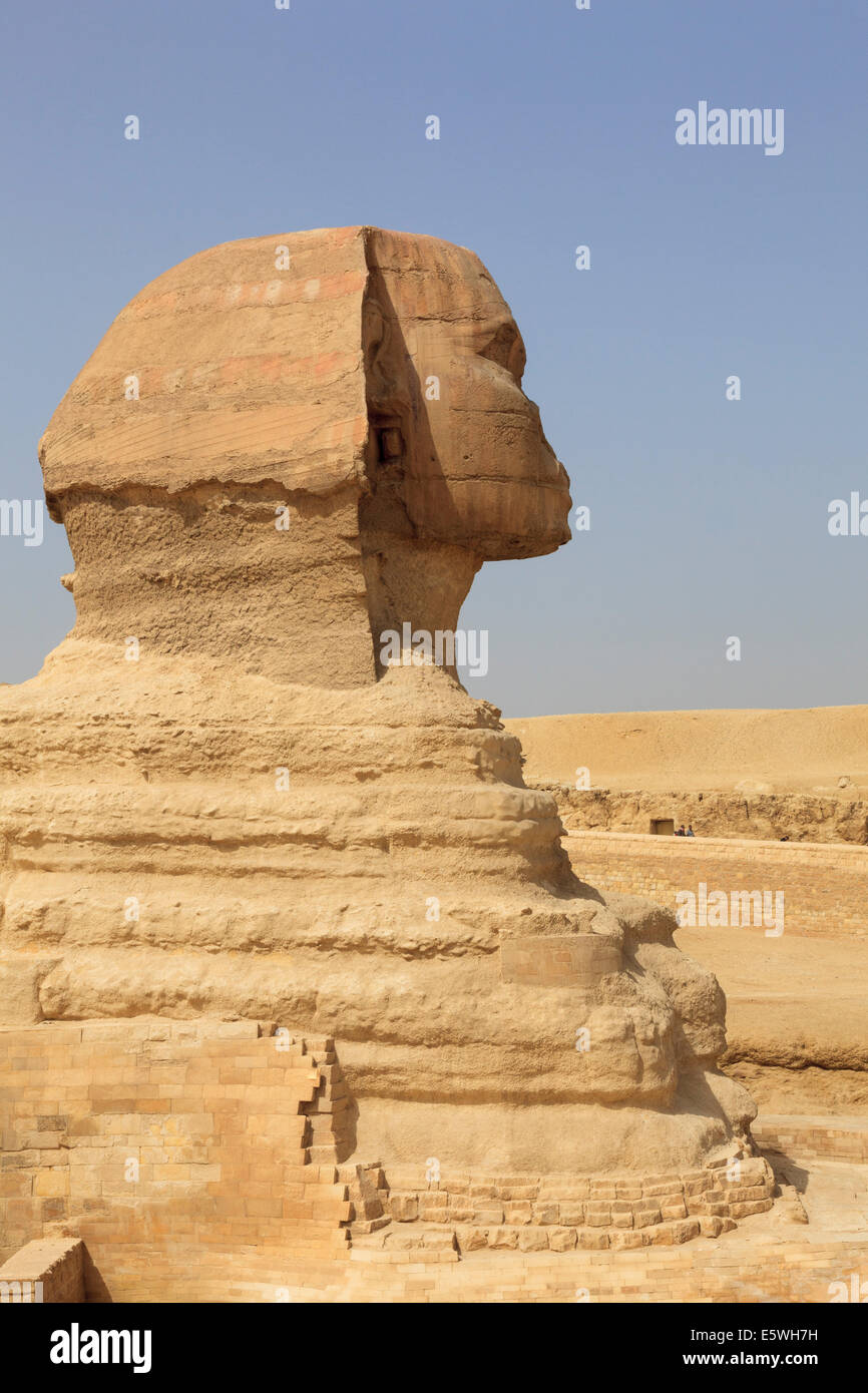 Le Sphinx de la Pyramides de Gizeh au Caire, Egypte Banque D'Images