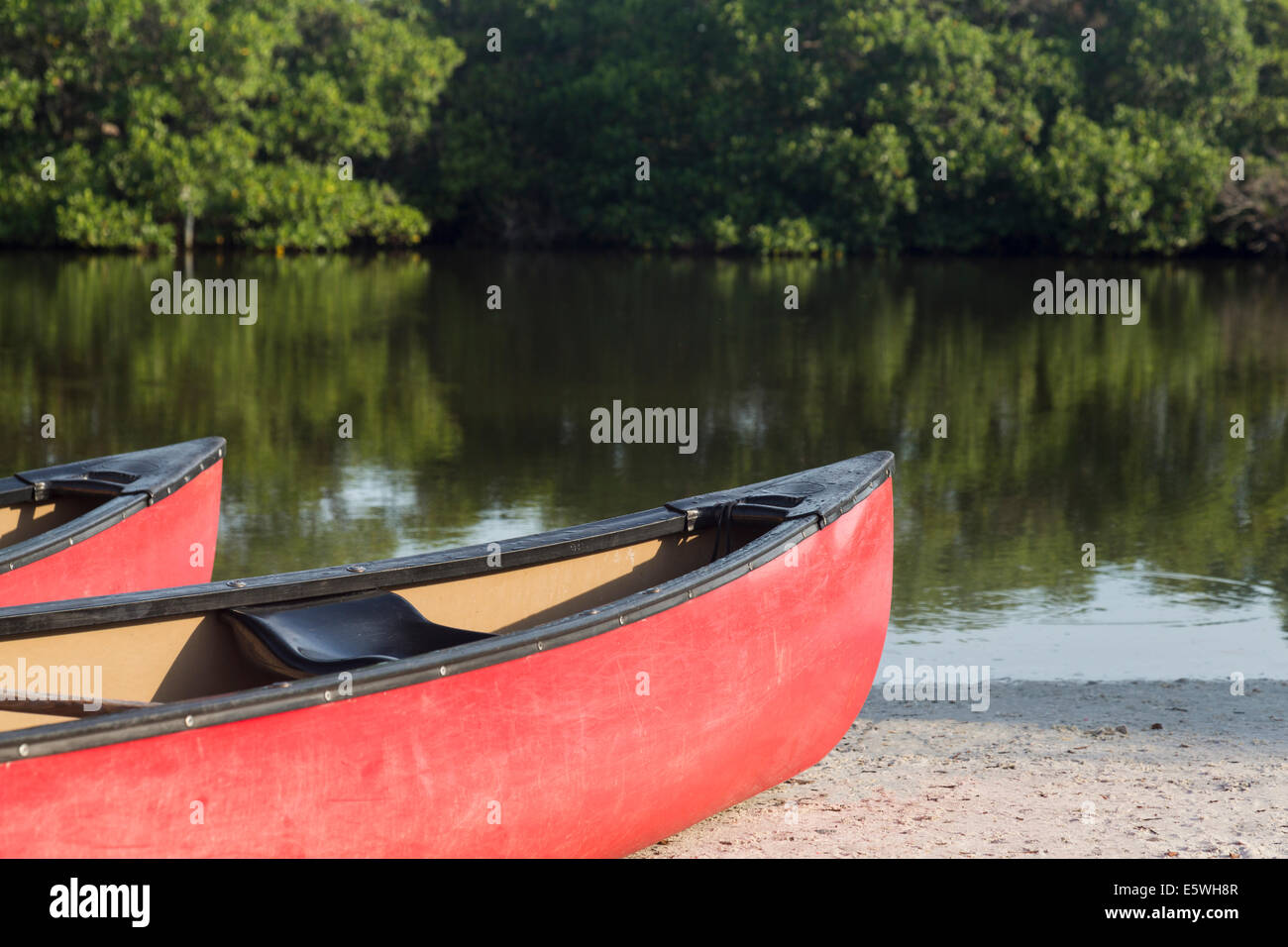 Canoës ou kayaks au bord d'un lac ou rivière Banque D'Images