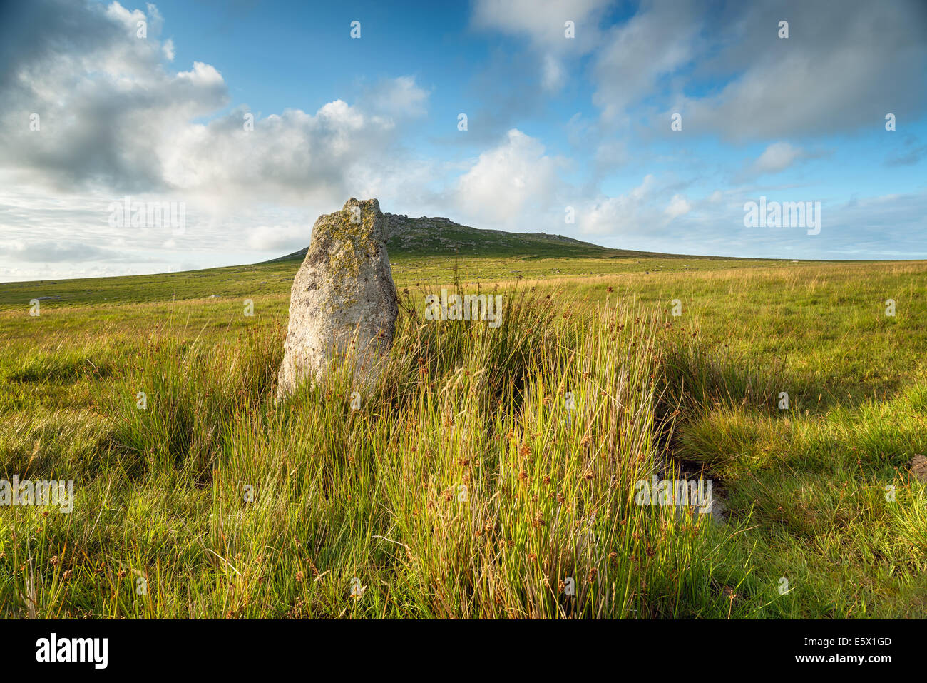 Standing Stone à Fernacre cercle de pierre au pied d'Roughtor sur Bodmin Moor en Cornouailles Banque D'Images