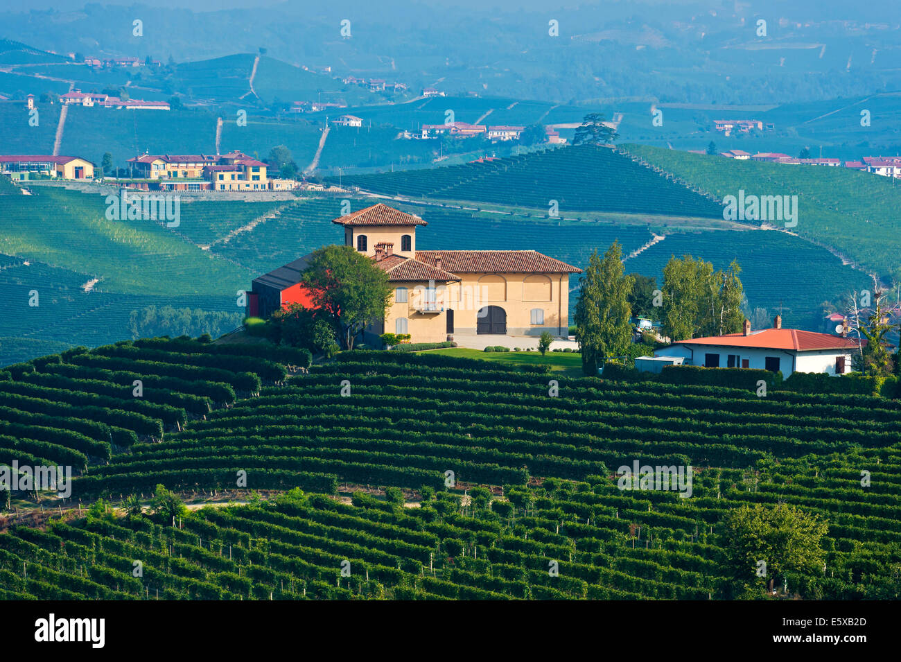 Winery près de Barolo, Piémont, Italie Banque D'Images