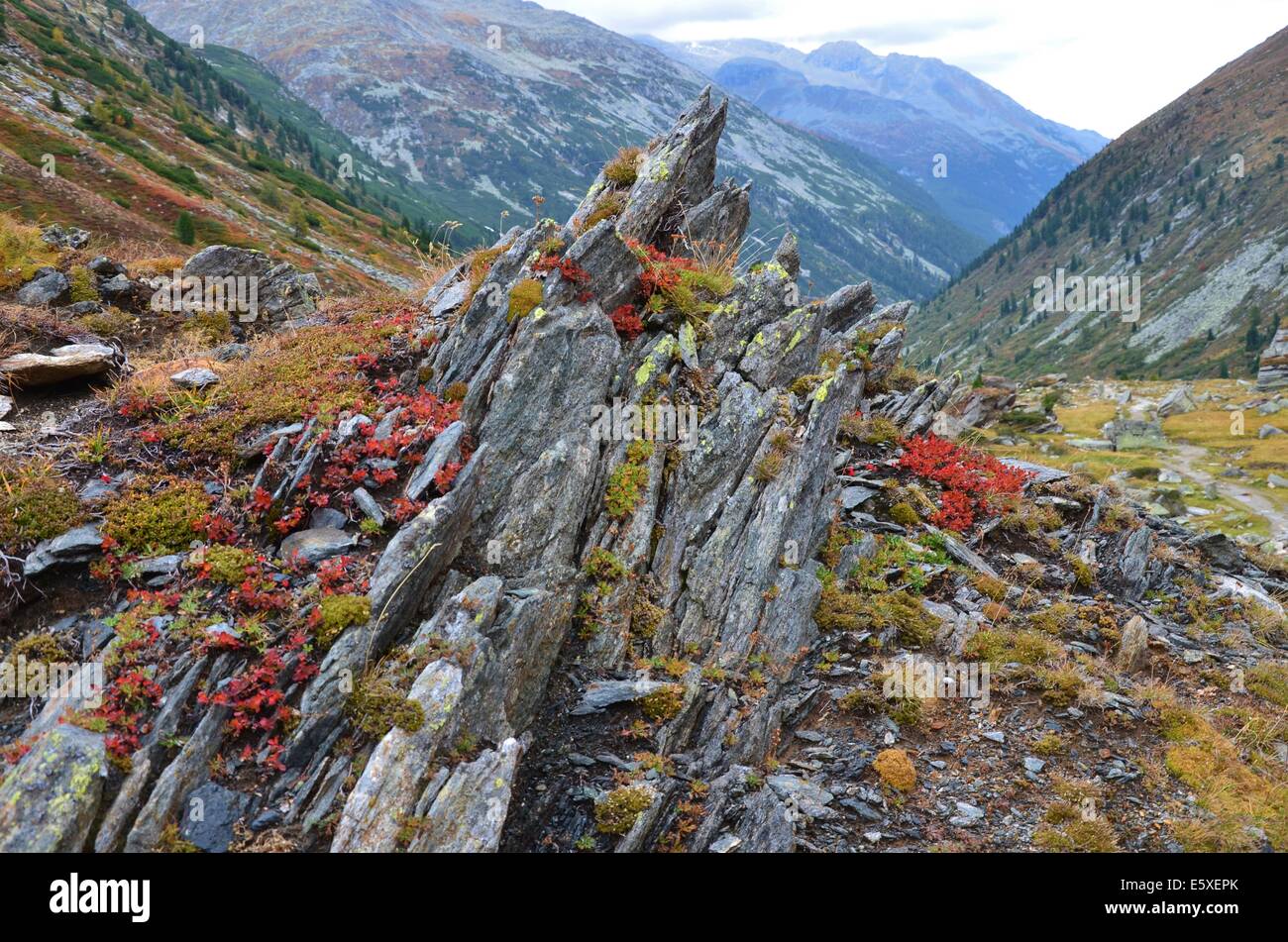 Le Parc naturel des Hautes Alpes les Alpes de Zillertal est un parc naturel de haute montagne dans le sens le plus vrai du terme. Banque D'Images
