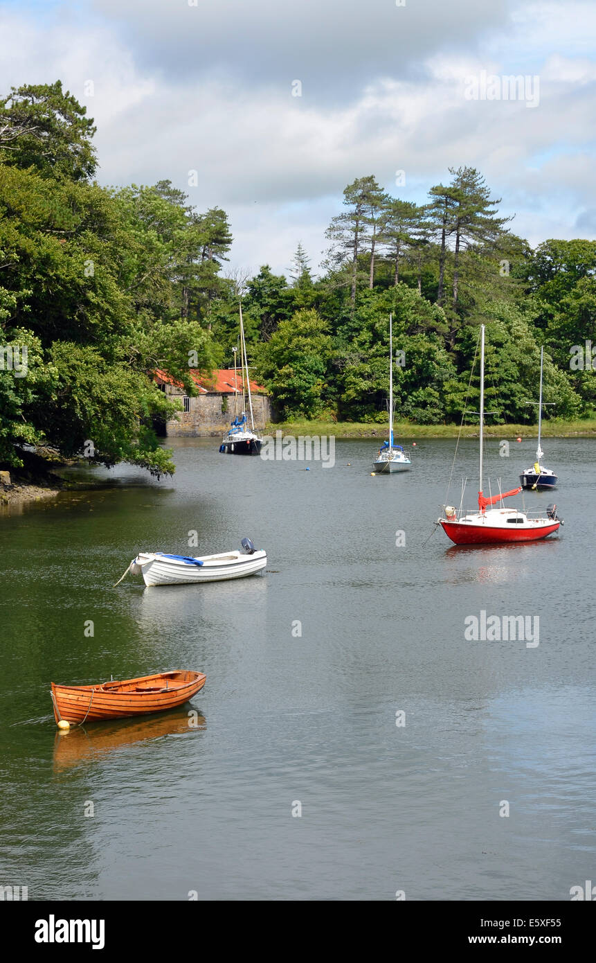 Les petits yachts amarrés dans un endroit à la tête de Westport Quay Harbour avec de la pierre d'un hangar à bateaux derrière. Banque D'Images