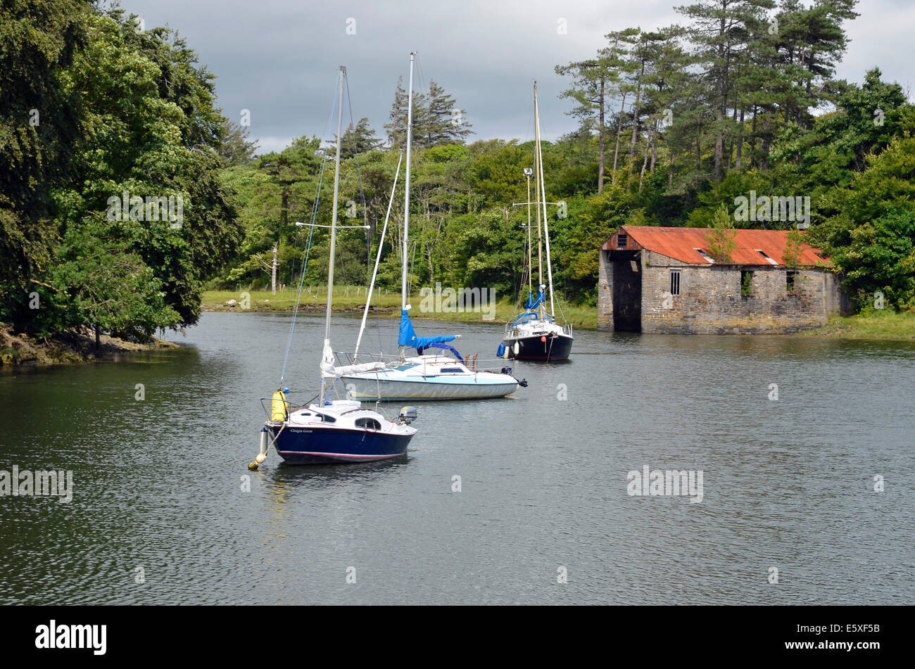 Les petits yachts amarrés dans un endroit à la tête de Westport Quay Harbour avec de la pierre d'un hangar à bateaux derrière. Banque D'Images