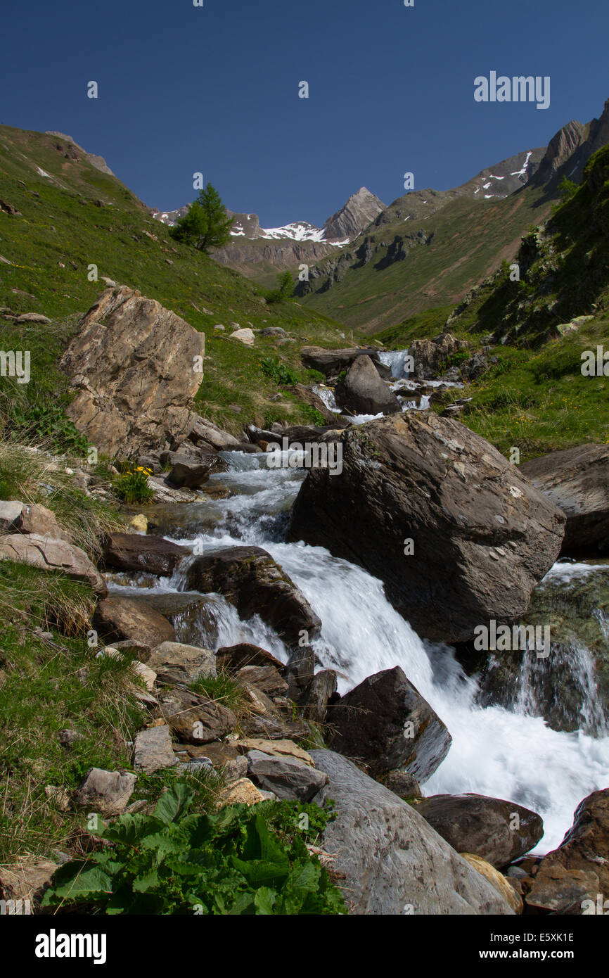 Ruisseau de montagne dans les Alpes Suisses Banque D'Images