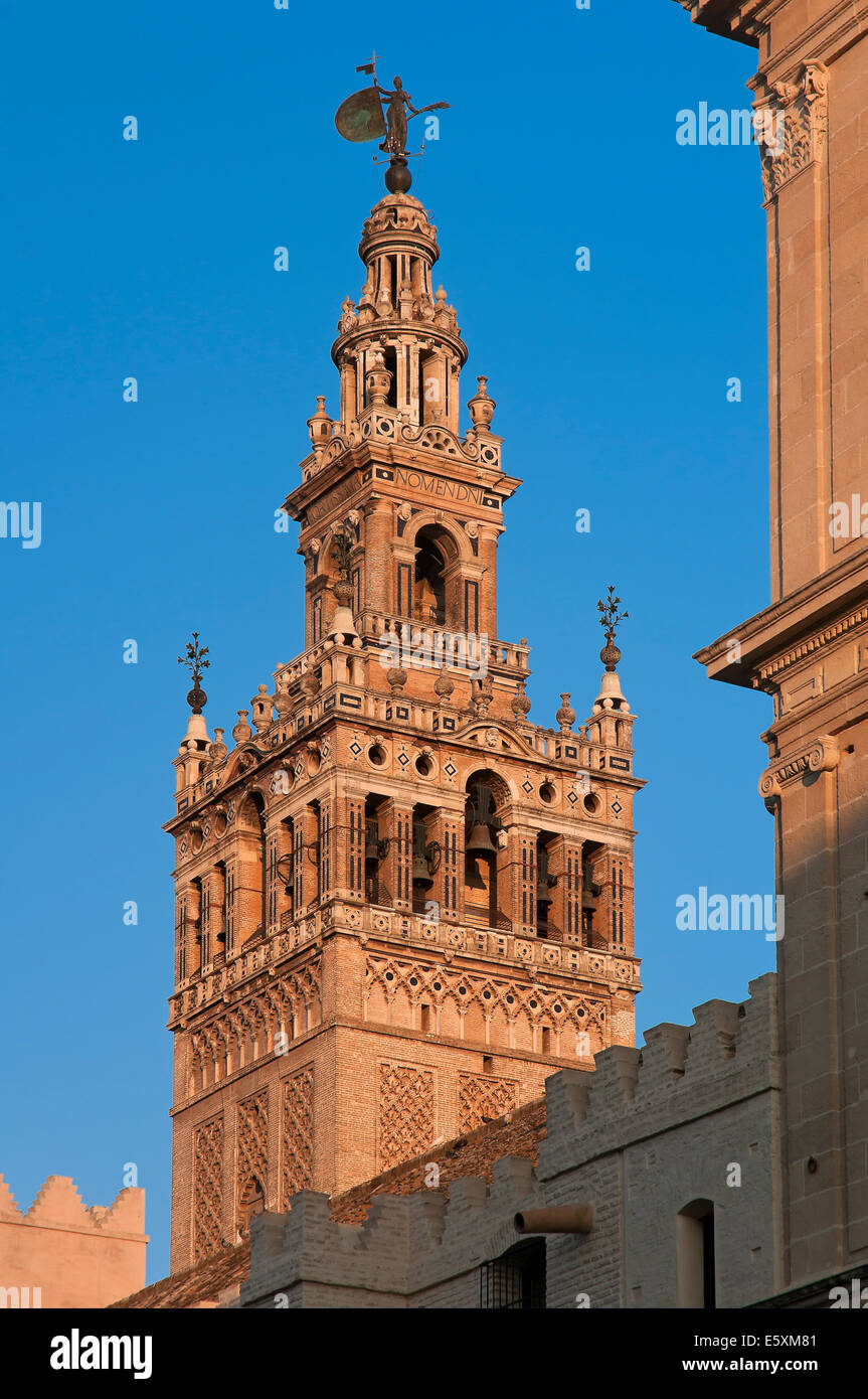 La Giralda, la cathédrale, Séville, Andalousie, Espagne, Europe Banque D'Images