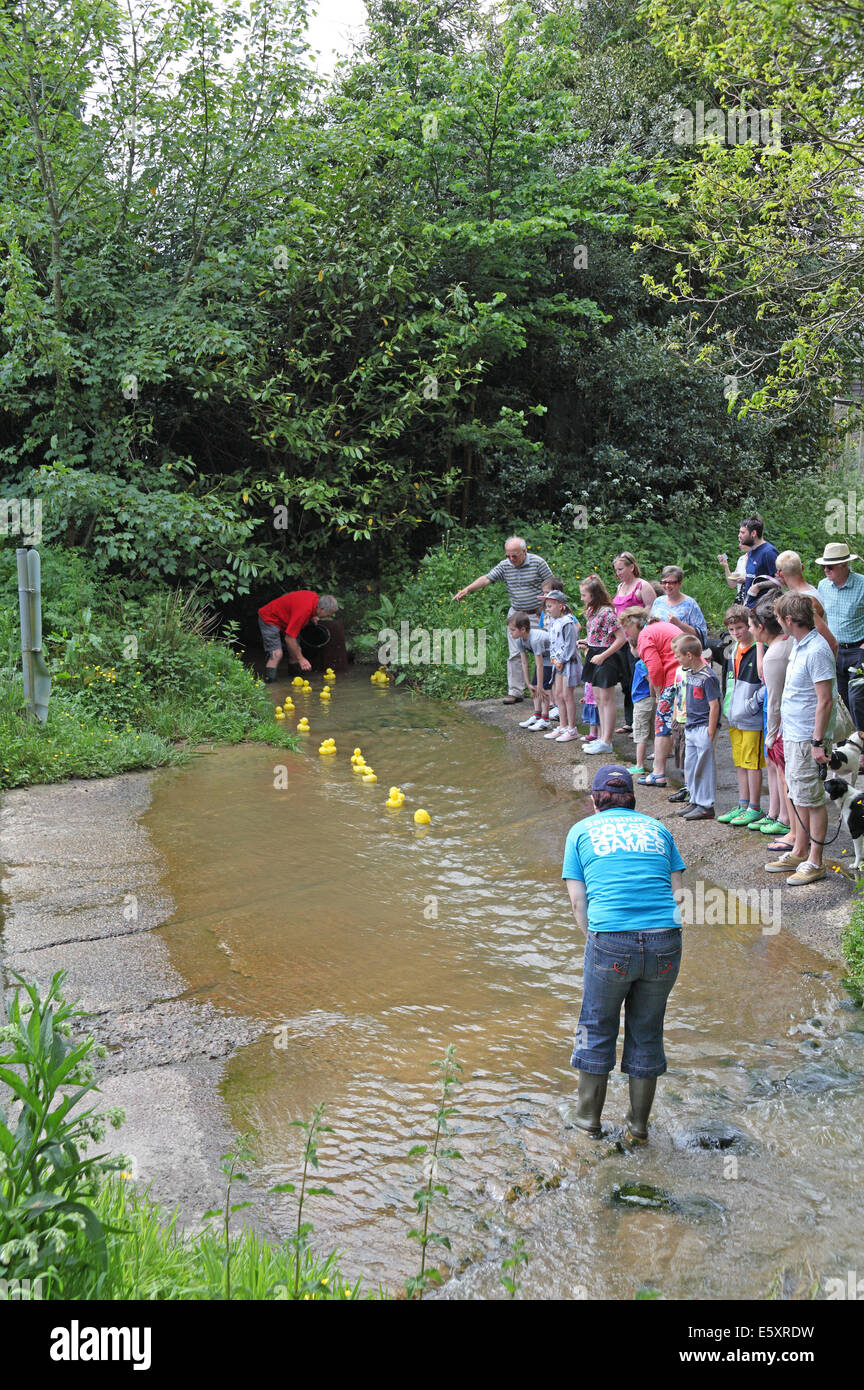 L'est la course de canards Holme fête du village, Wareham, Dorset, England, UK Banque D'Images