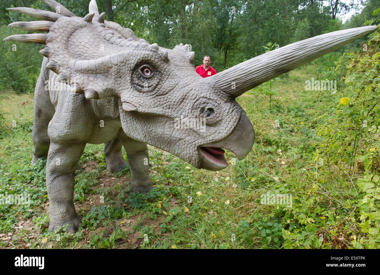 Rügen, Allemagne. Le 06 août, 2014. Le modèle de "multi" à terre près de dinosaure de la canette sur l'île de Rügen, Allemagne, 06 août 2014. Le parc est une attraction touristique avec environ 15 acres et plus de 100 modèles de dinosaures. Il raconte l'histoire de l'eau de la première créature à l'ère tertiaire. L'État a donné 160 000 euros pour le site de rénovation et d'expansion. 50 000 personnes sont venues au parc en 2013. Photo : STEFAN SAUER/dpa/Alamy Live News Banque D'Images
