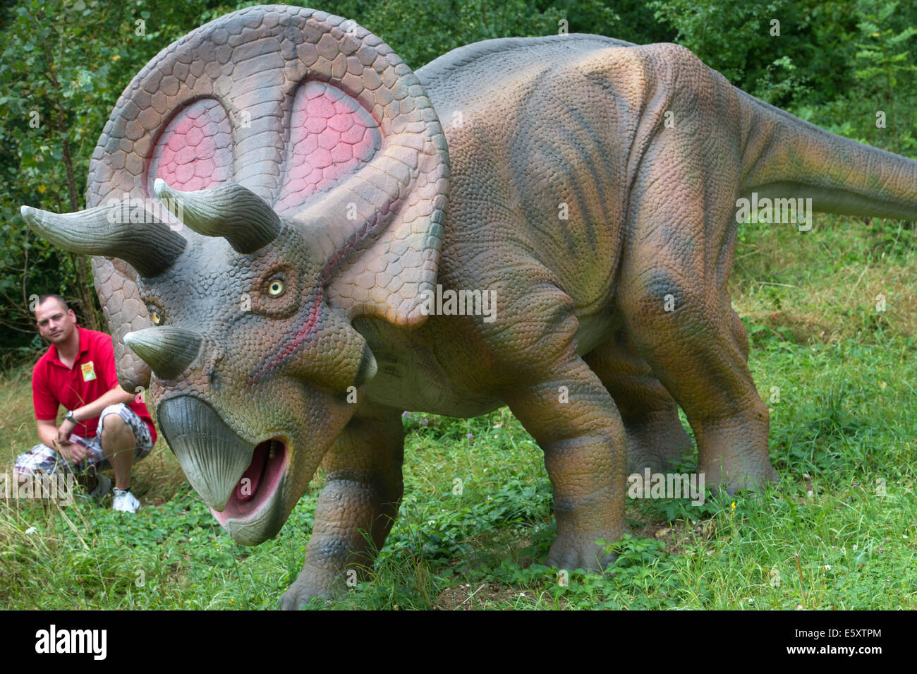 Rügen, Allemagne. Le 06 août, 2014. Le modèle de 'Torosaurus' à terre près de dinosaure de la canette sur l'île de Rügen, Allemagne, 06 août 2014. Le parc est une attraction touristique avec environ 15 acres et plus de 100 modèles de dinosaures. Il raconte l'histoire de l'eau de la première créature à l'ère tertiaire. L'État a donné 160 000 euros pour le site de rénovation et d'expansion. 50 000 personnes sont venues au parc en 2013. Photo : STEFAN SAUER/dpa/Alamy Live News Banque D'Images