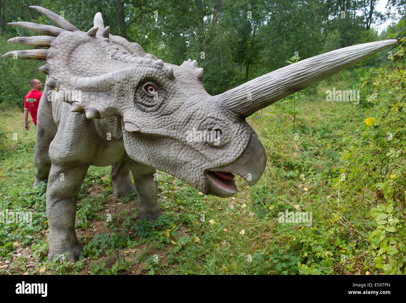 Rügen, Allemagne. Le 06 août, 2014. Le modèle de "multi" à terre près de dinosaure de la canette sur l'île de Rügen, Allemagne, 06 août 2014. Le parc est une attraction touristique avec environ 15 acres et plus de 100 modèles de dinosaures. Il raconte l'histoire de l'eau de la première créature à l'ère tertiaire. L'État a donné 160 000 euros pour le site de rénovation et d'expansion. 50 000 personnes sont venues au parc en 2013. Photo : STEFAN SAUER/dpa/Alamy Live News Banque D'Images