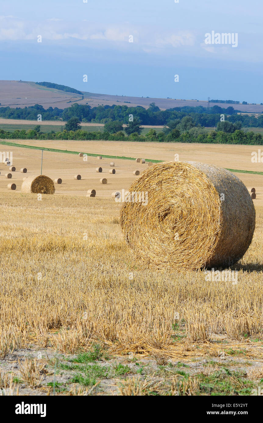 Une vue de Wiltshire au moment de la récolte, UK Banque D'Images