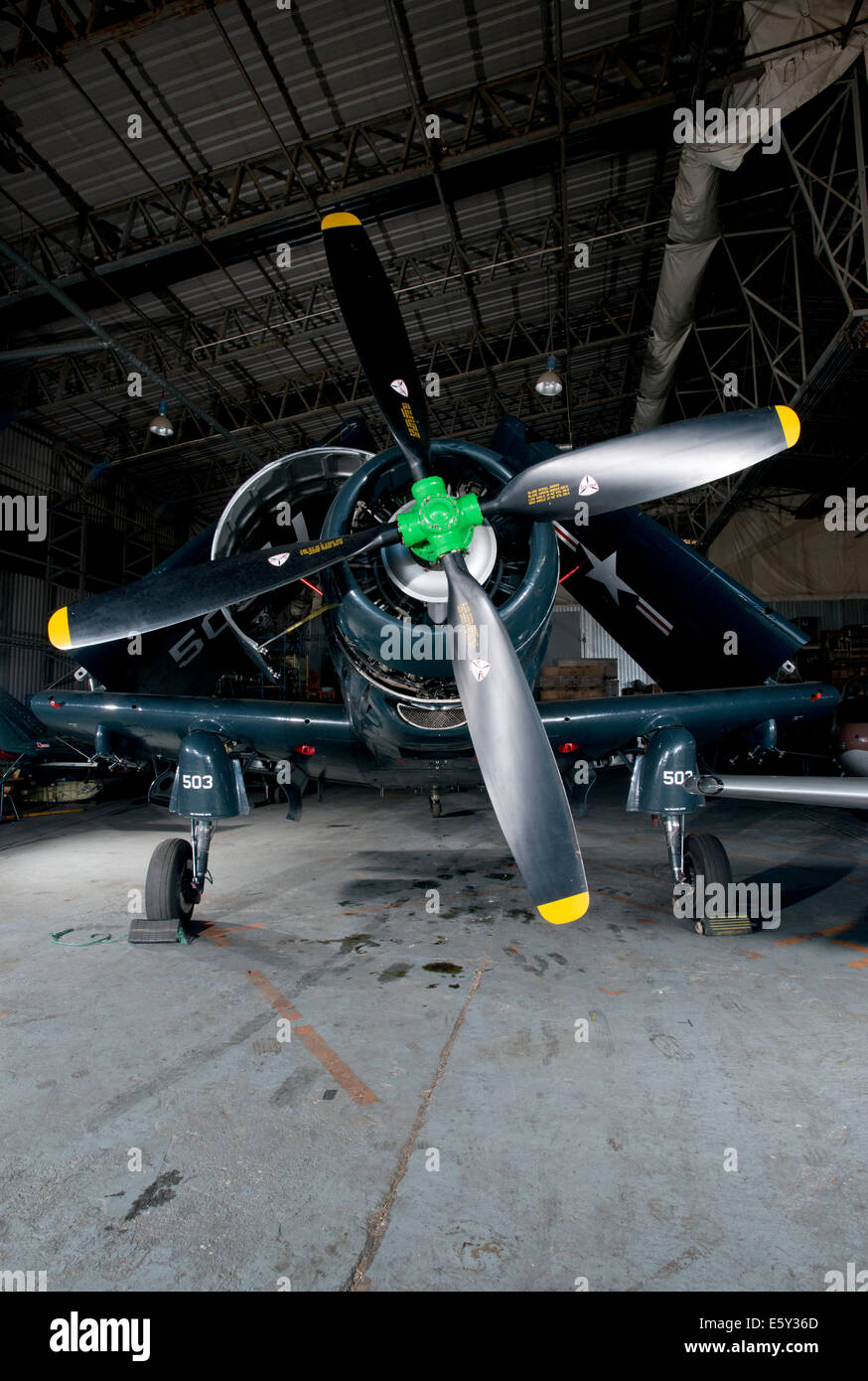 American World War 2 porte-avion de chasse Grumman Hellcat sur place Banque D'Images