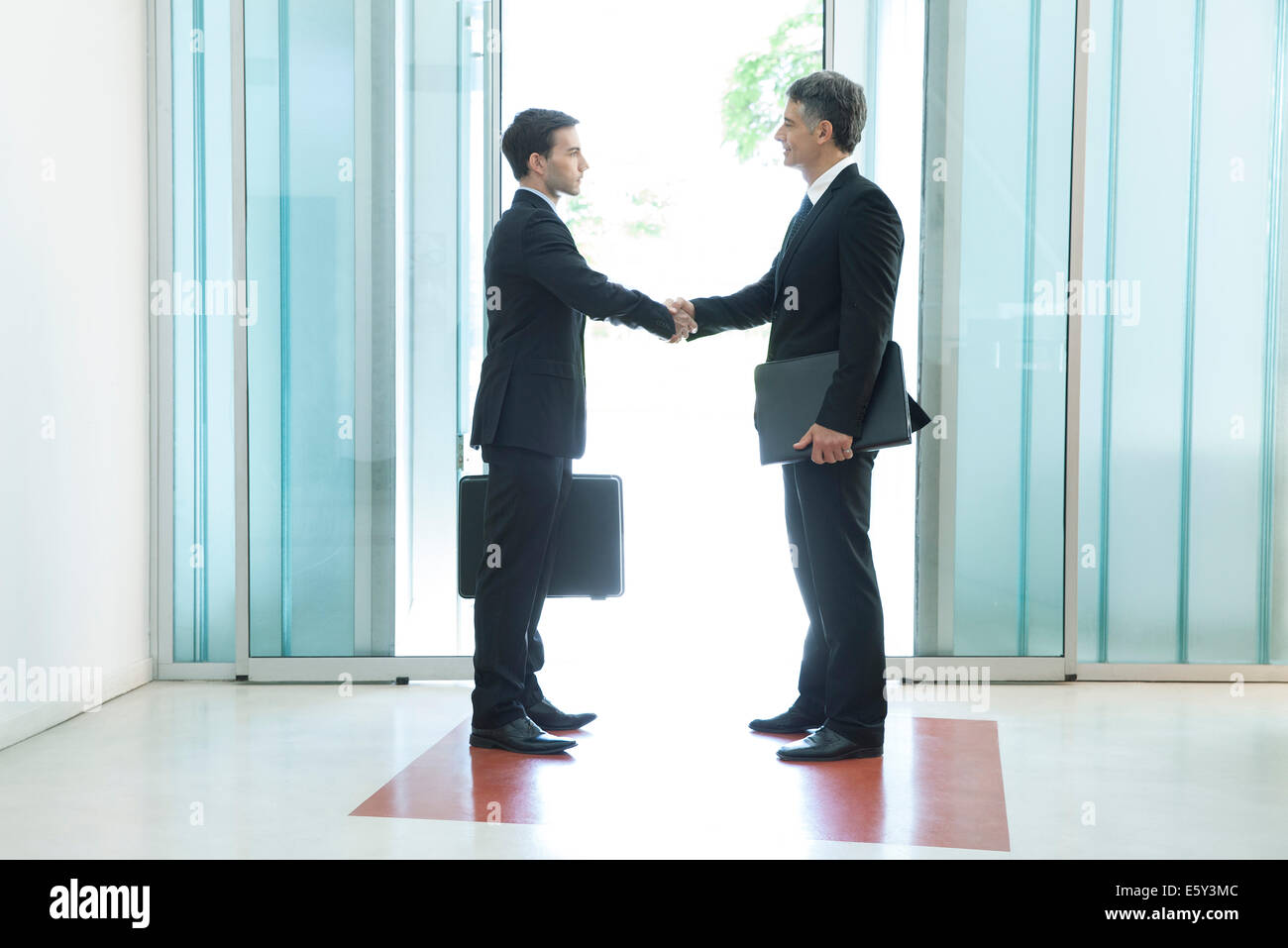 Businessmen shaking hands Banque D'Images