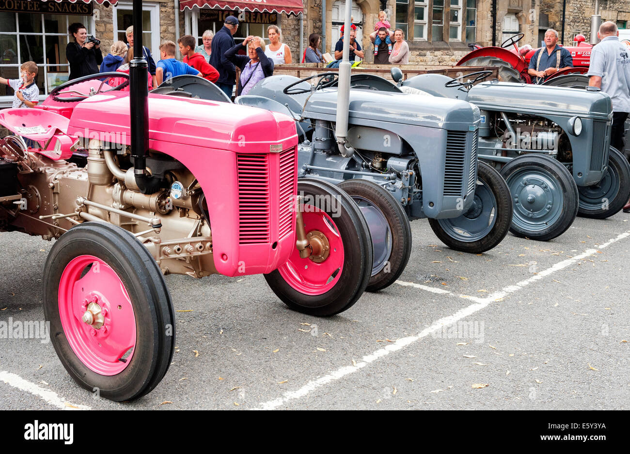 Un gris rose 'Fergy' tracteur sur show à Thornton le Dale pendant la traction Pickering rallye moteur Banque D'Images