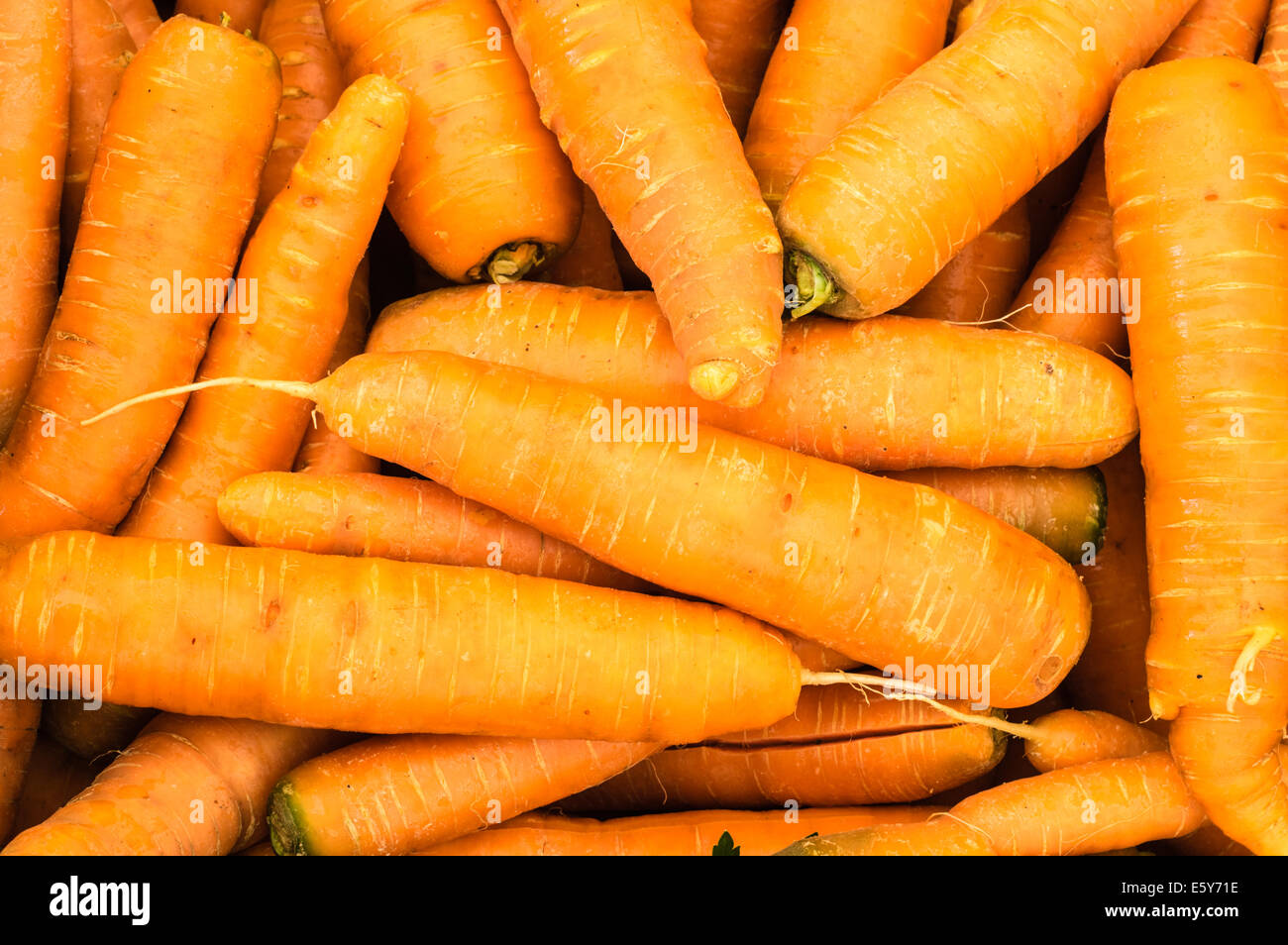 Les carottes orange fraîchement récoltées sur l'affichage sur le marché Banque D'Images