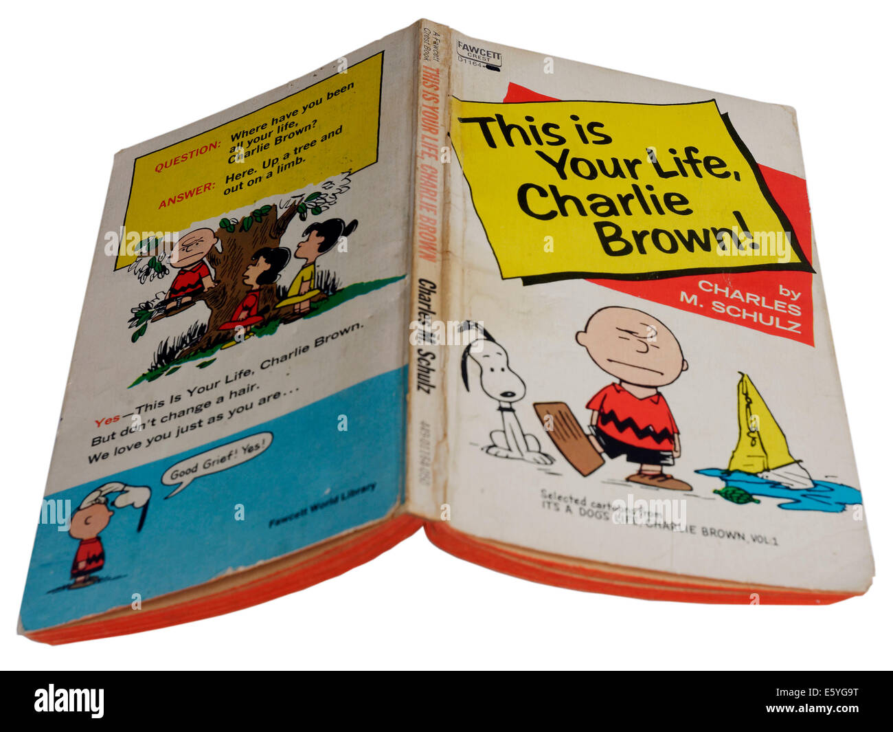 C'est votre vie, Charlie Brown par Charles Schulz Banque D'Images
