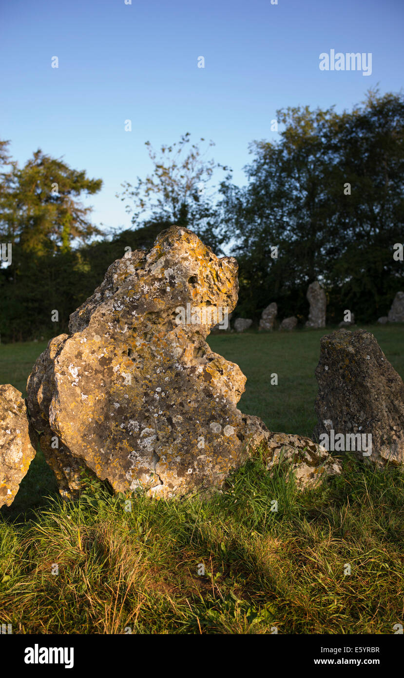 Le Rollright stones au lever du soleil. L'Oxfordshire, Angleterre. Banque D'Images