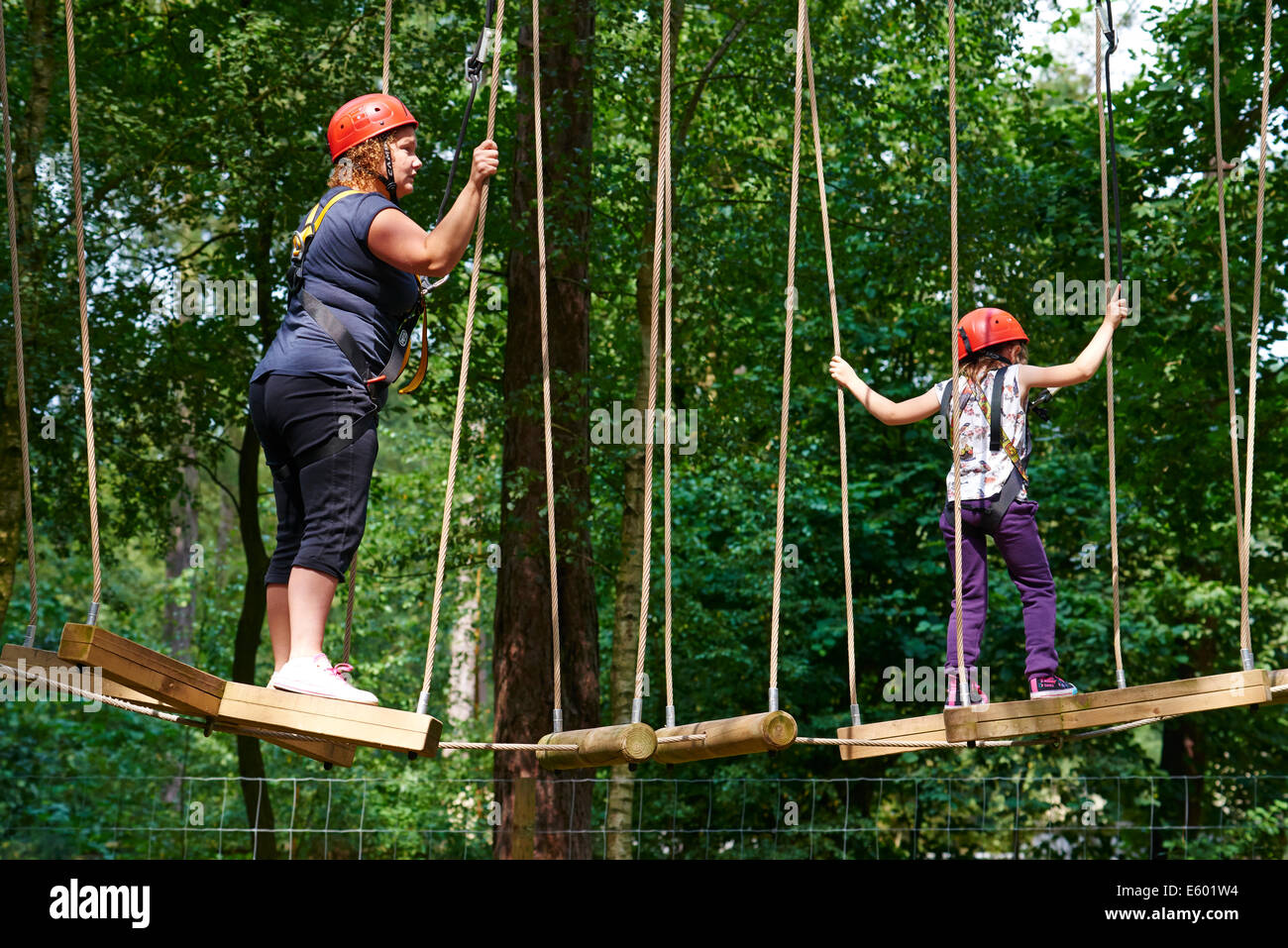 Arbre aérien Trekking Center Parcs La Forêt de Sherwood UK Banque D'Images