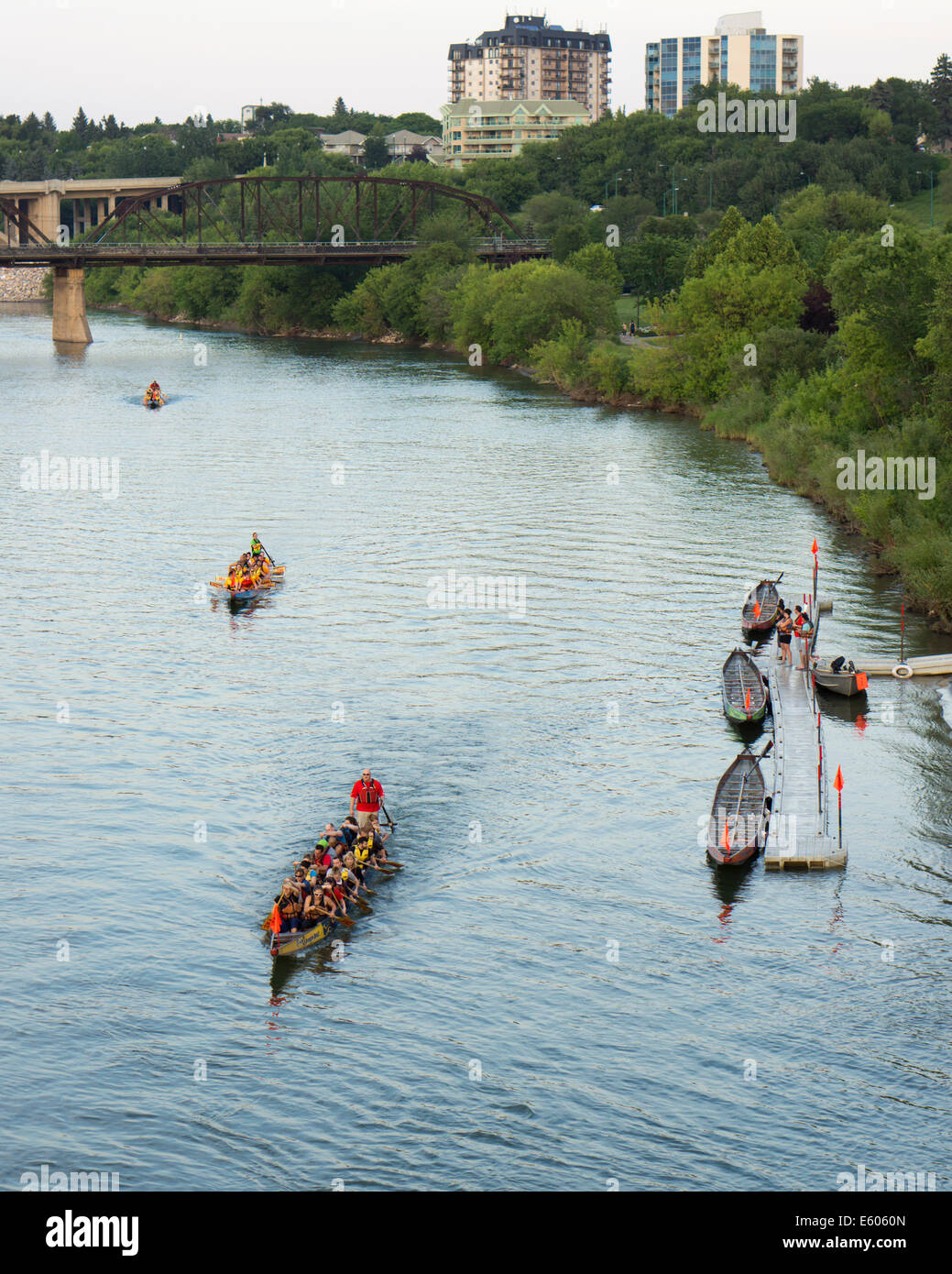 L'équipe de Dragon Boat pratique sur la rivière Saskatchewan Sud à Saskatoon Banque D'Images