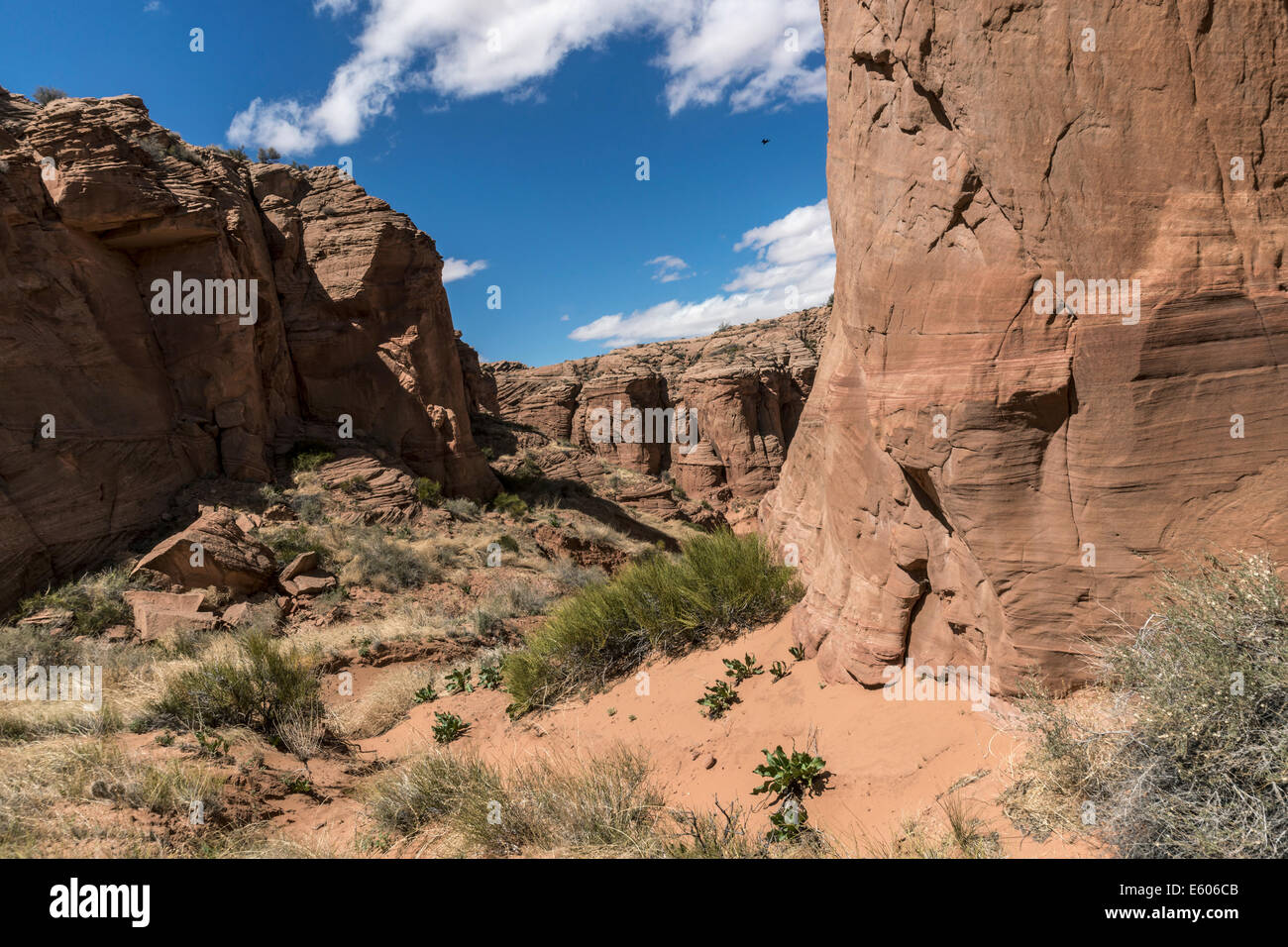 Regardant vers le bas à l'entrée de Canyon X, Réserve Navajo, près de Page, AZ Banque D'Images