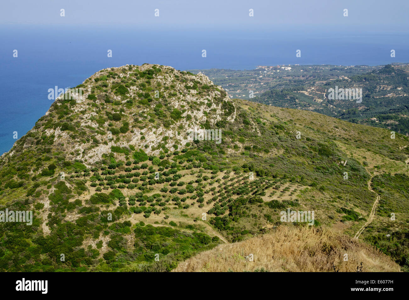 Zante, Grèce - vue depuis le sommet du Mt Skopos sur la péninsule de Vassilikos. À l'Est. Les oliveraies. Banque D'Images