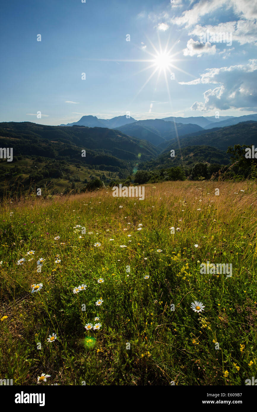 Les Montagnes Apuseni sunrise-Mountains-Romania in Apuseni paysage d'été Banque D'Images