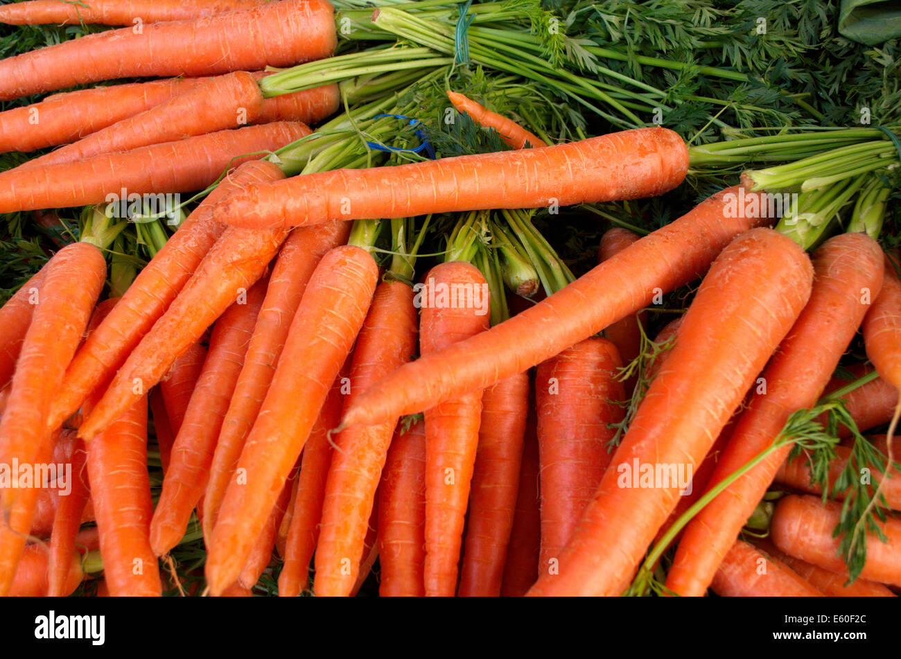 Bunch (Groupe) de carottes sur le marché Banque D'Images