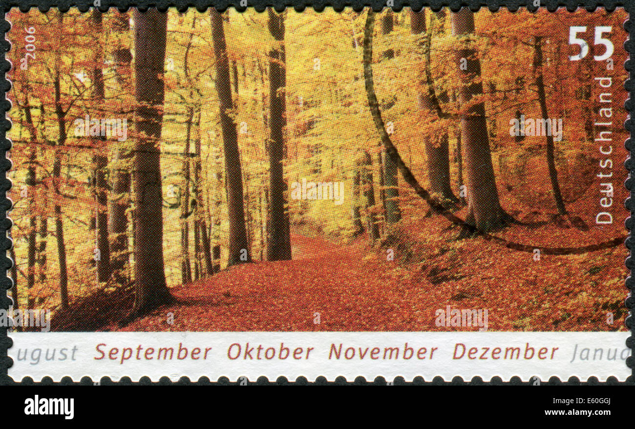 Allemagne - circa 2006 : timbre-poste imprimé en Allemagne, montre paysage d'automne, forêt, circa 2006 Banque D'Images
