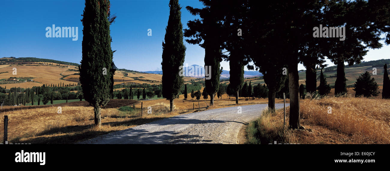 Italie, Toscane, province de Sienne, paysage de Crète Banque D'Images