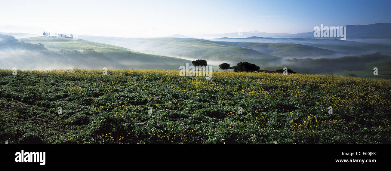 Italie, Toscane, province de Sienne, paysage de Crète Banque D'Images
