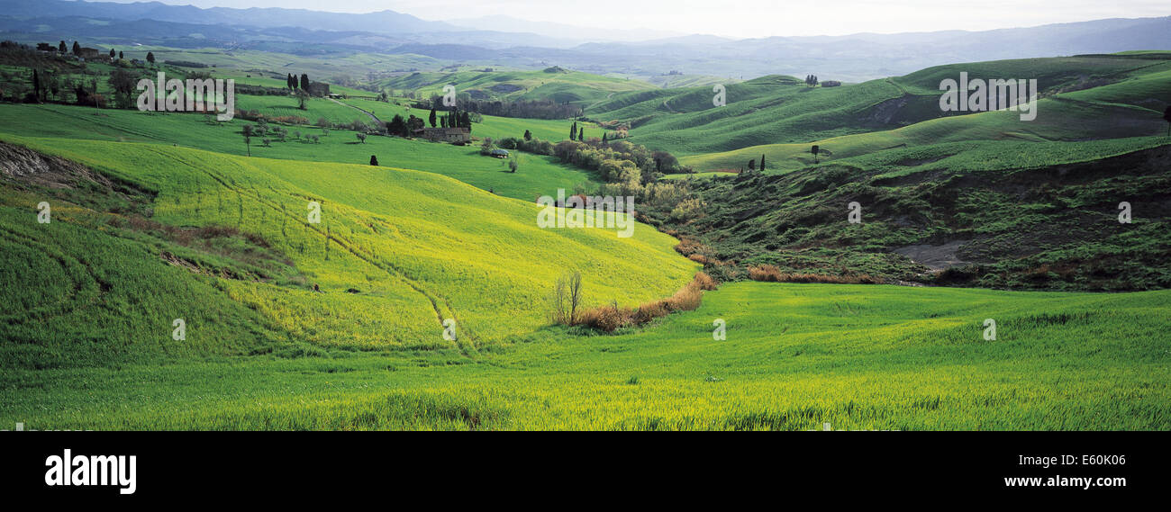 Italie, Toscane, province de Sienne, paysage de Crète Banque D'Images