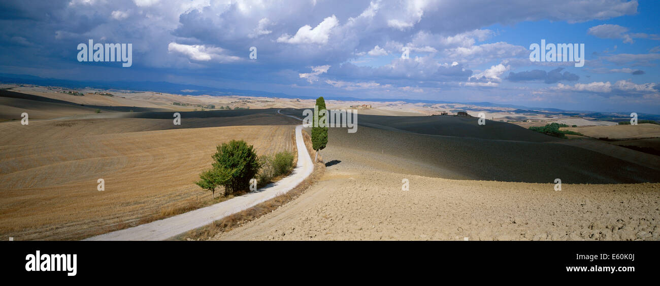 Italie, Toscane, province de Sienne, paysage de Crète Banque D'Images