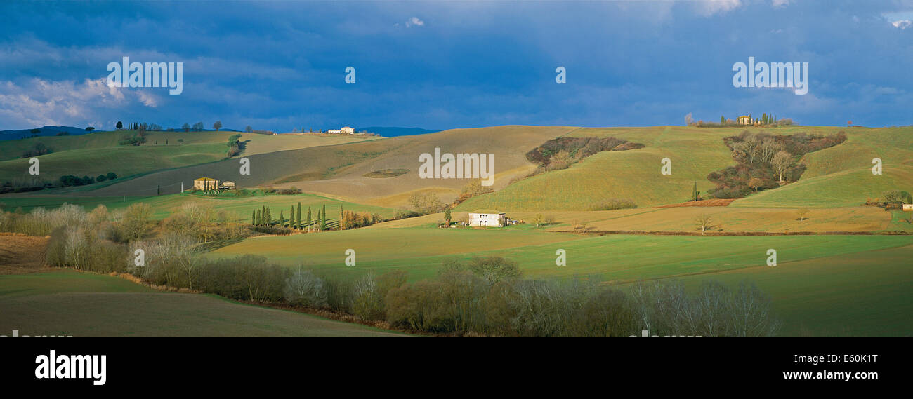 Italie, Toscane, province de Sienne, paysage de Crète Banque D'Images