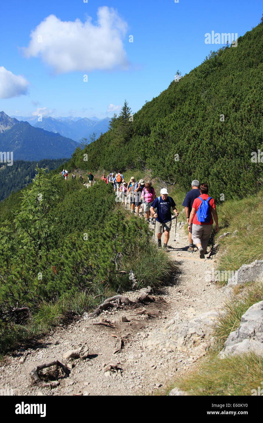 Une longue file de marcheurs sur la voie populaire depuis le sommet de la télécabine de la 1731m sommet du Italia en Bavière, Allemagne Banque D'Images
