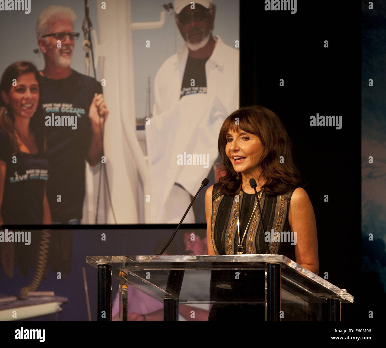 Dana Point, Californie, USA. 9 Août, 2014. Mary Steenburgen parlant brièvement avant l'introduction de Ted Danson. Acteur Ted Danson est le Surf Industry Manufacturers Association's 2014 LMSI écologiste de l'année pour l'ensemble de son travail de conservation des océans. Danson a été honoré lors du SIMA 2014 Watermans annuel Ball le samedi 9 août 2014 au Ritz Carlton Hotel & Resort à Dana Point en Californie. L'actrice Mary Steenburgen, Danson's wife, introduit l'acteur sur scène avant de le présenter avec un modèle de petite échelle à la main, l'acteur Tavarua's favorite ocean paradise. Banque D'Images