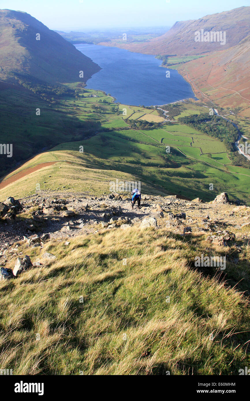 Walker l'ascension de la crête sud-ouest de l'Lingmell au-dessus de l'eau as dans le Lake District National Park Banque D'Images